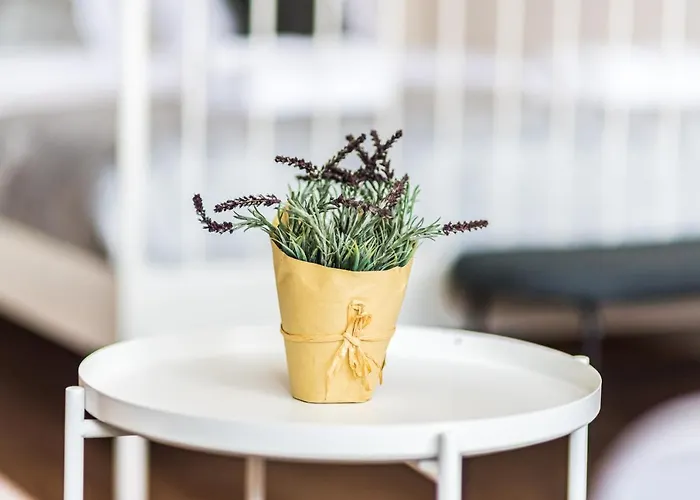 Gladstone * بلوفديف